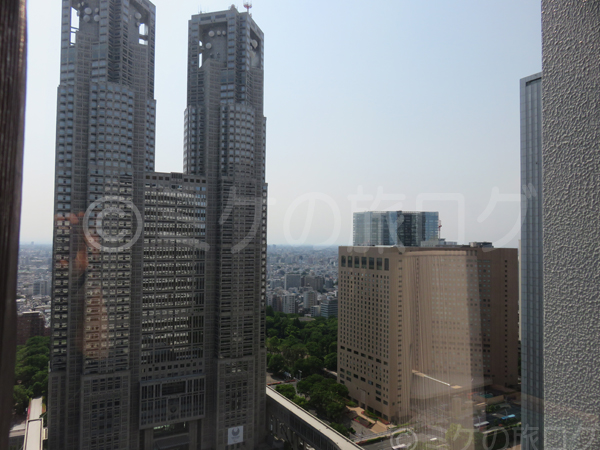 新宿京王プラザホテル宿泊記 プラザリュクス・ツイン　部屋からの眺望