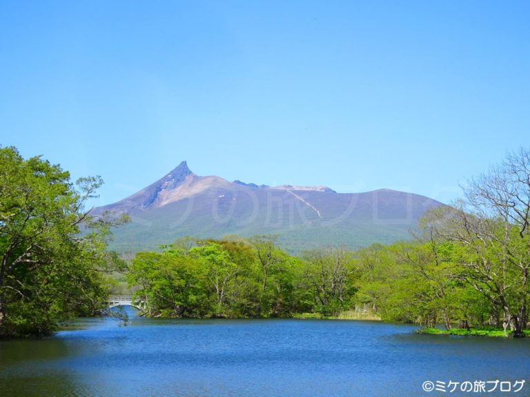 大沼公園から見る駒ヶ岳