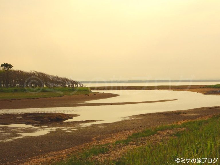 野付半島ナラワラ