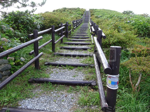 奥尻島 球島山展望台