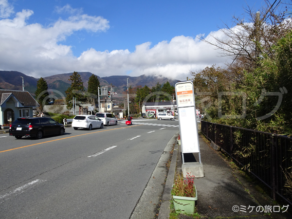 箱根仙石原 ススキ草原の最寄りのバス停