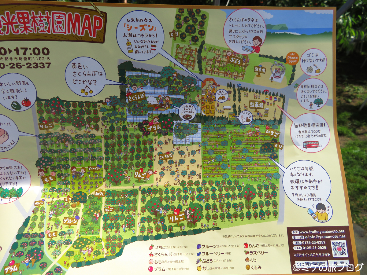 「ニトリ観光果樹園」の園内マップ