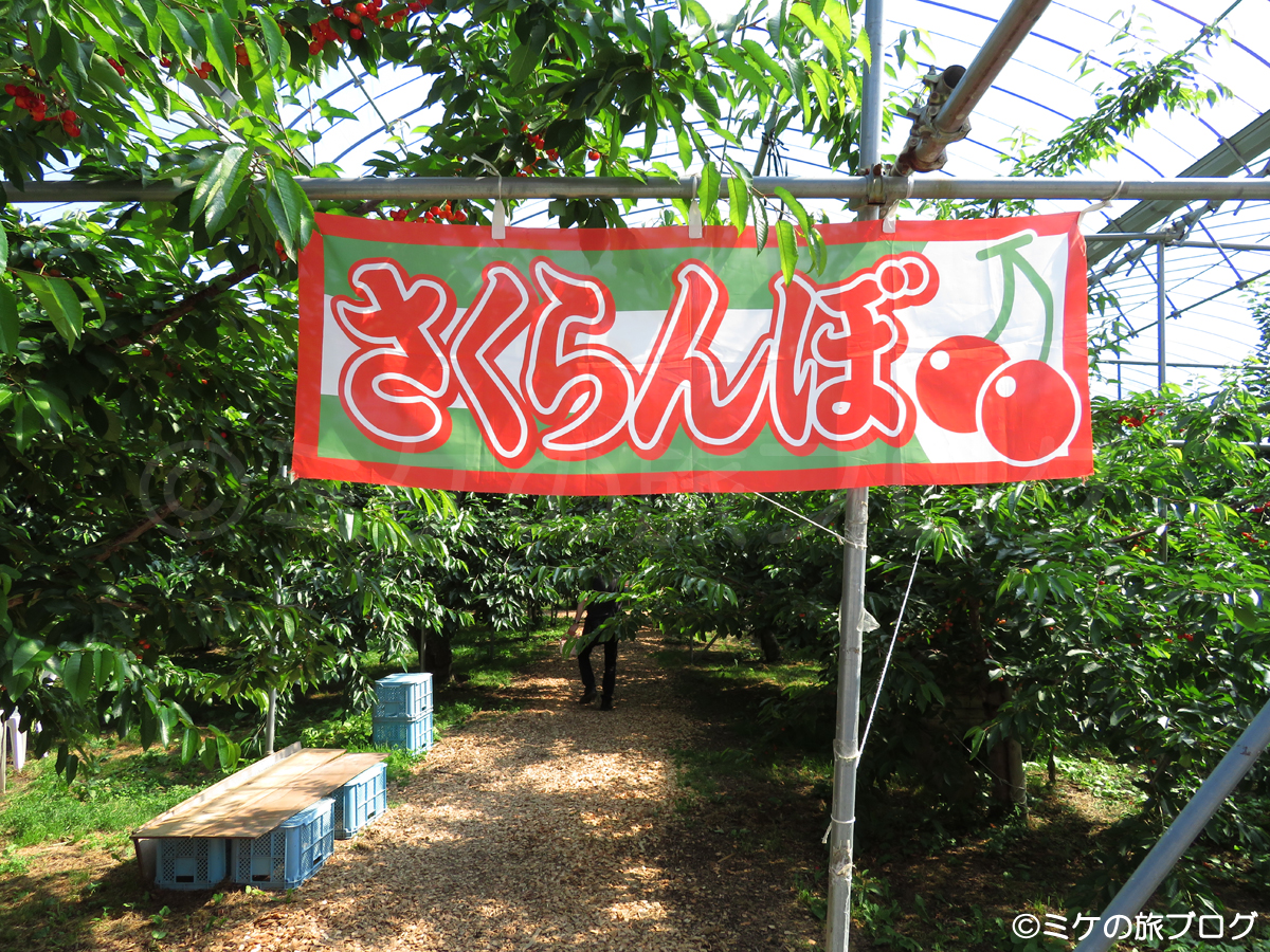 ニトリ観光果樹園の園内の入り口