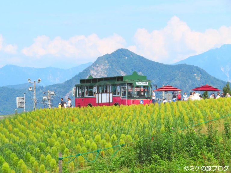 湯沢高原　アルプの里